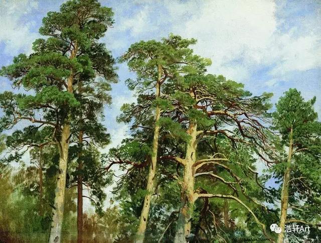 希施金油画风景高清细节（森林的歌手希施金的油画素描作品欣赏）(15)