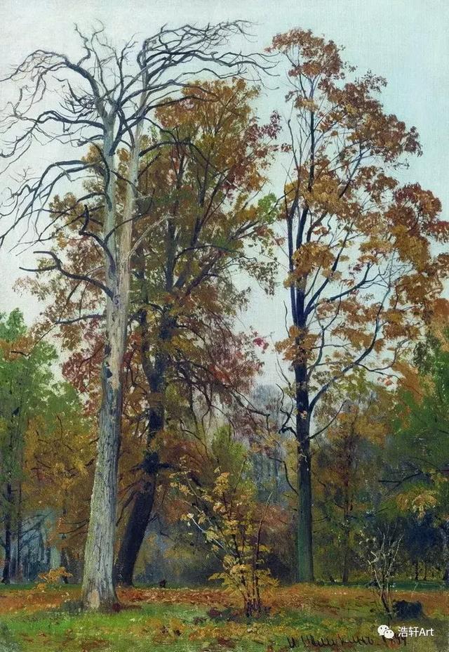 希施金油画风景高清细节（森林的歌手希施金的油画素描作品欣赏）(21)