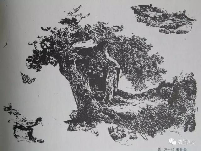 希施金油画风景高清细节（森林的歌手希施金的油画素描作品欣赏）(27)