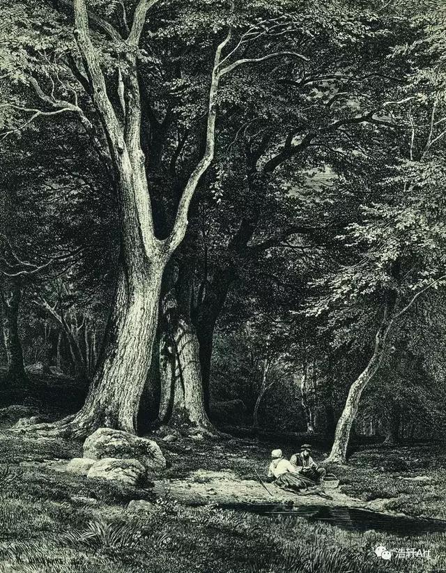 希施金油画风景高清细节（森林的歌手希施金的油画素描作品欣赏）(30)
