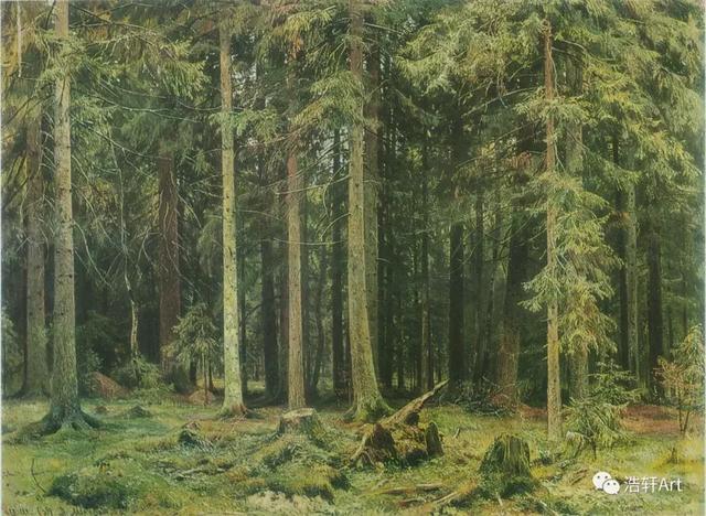 希施金油画风景高清细节（森林的歌手希施金的油画素描作品欣赏）(19)