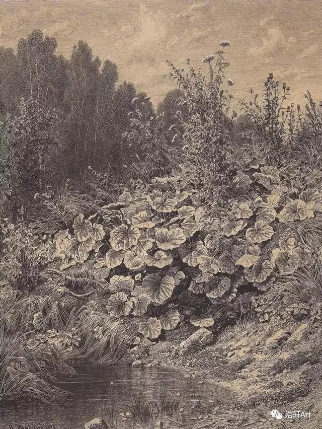 希施金油画风景高清细节（森林的歌手希施金的油画素描作品欣赏）(28)