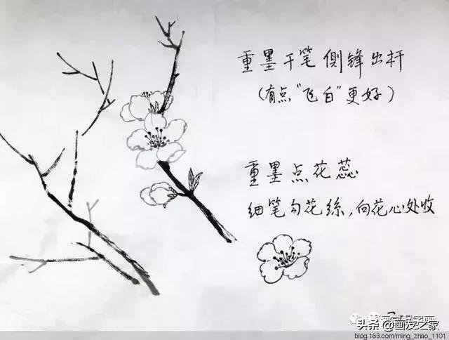 花鸟工笔画的基本步骤（工笔花鸟画法合集）(2)
