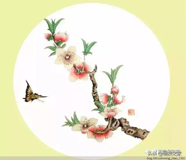 花鸟工笔画的基本步骤（工笔花鸟画法合集）(6)