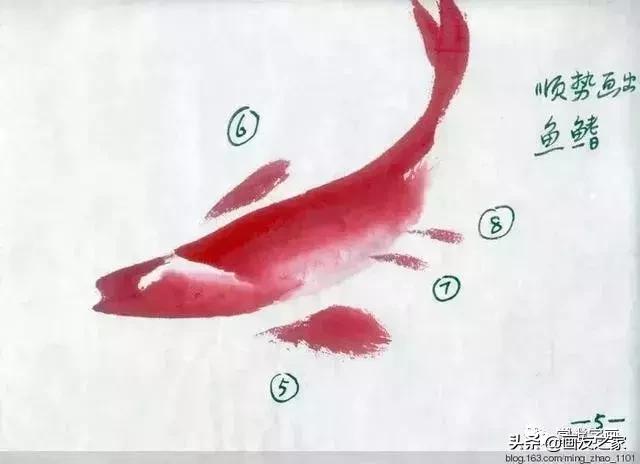 花鸟工笔画的基本步骤（工笔花鸟画法合集）(17)
