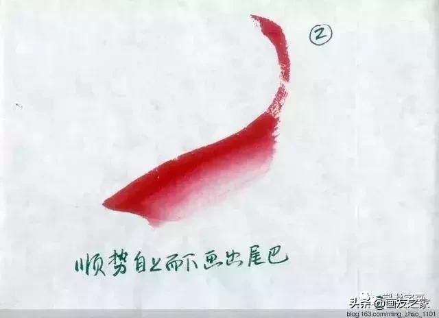 花鸟工笔画的基本步骤（工笔花鸟画法合集）(14)