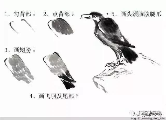 花鸟工笔画的基本步骤（工笔花鸟画法合集）(23)