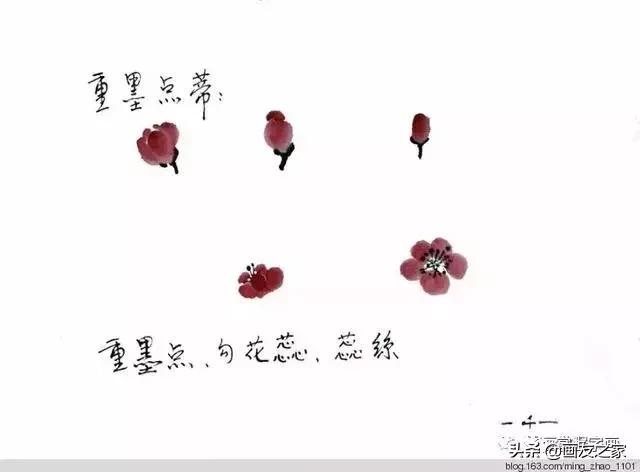 花鸟工笔画的基本步骤（工笔花鸟画法合集）(9)