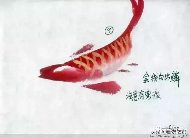 花鸟工笔画的基本步骤（工笔花鸟画法合集）(18)