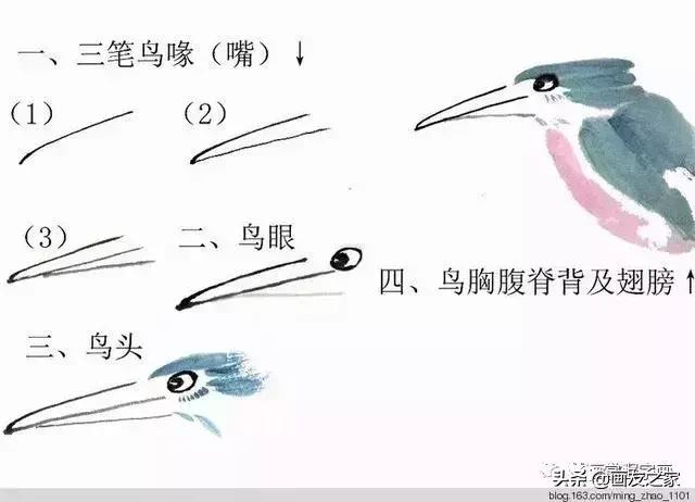 花鸟工笔画的基本步骤（工笔花鸟画法合集）(27)