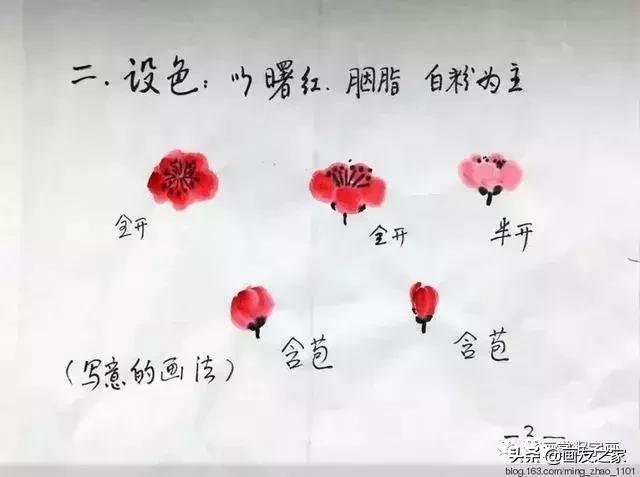 花鸟工笔画的基本步骤（工笔花鸟画法合集）(8)