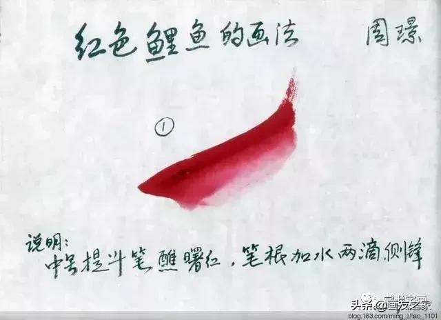 花鸟工笔画的基本步骤（工笔花鸟画法合集）(13)