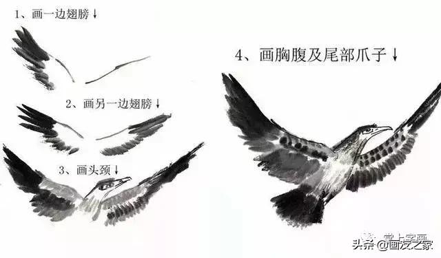 花鸟工笔画的基本步骤（工笔花鸟画法合集）(25)