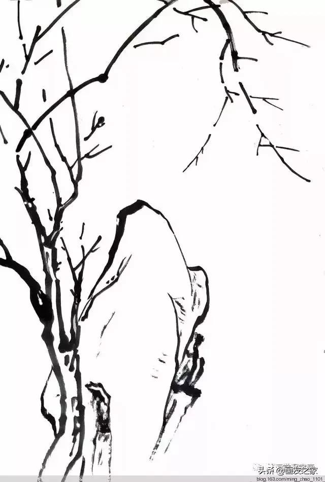 花鸟工笔画的基本步骤（工笔花鸟画法合集）(7)
