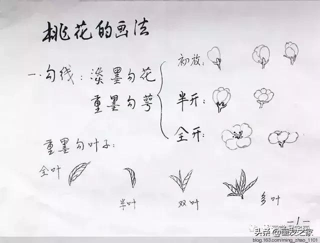 花鸟工笔画的基本步骤（工笔花鸟画法合集）(1)