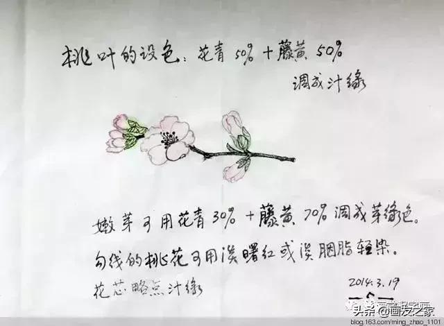 花鸟工笔画的基本步骤（工笔花鸟画法合集）(5)