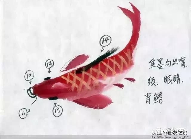 花鸟工笔画的基本步骤（工笔花鸟画法合集）(19)