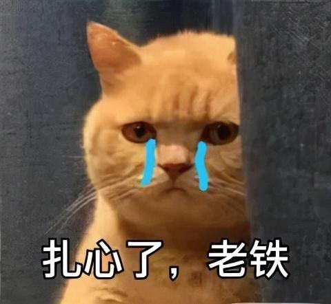 气血虚导致的脱发可以再长出来吗（脱发掉发皮肤暗黄）(3)