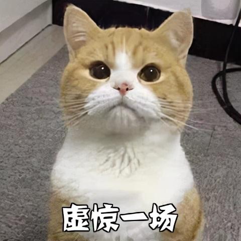 气血虚导致的脱发可以再长出来吗（脱发掉发皮肤暗黄）(2)