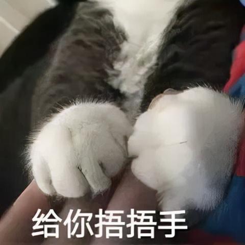 气血虚导致的脱发可以再长出来吗（脱发掉发皮肤暗黄）(8)