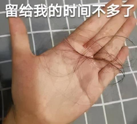 气血虚导致的脱发可以再长出来吗（脱发掉发皮肤暗黄）(6)