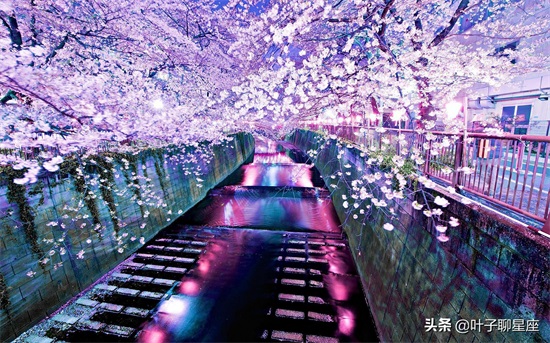 唯一能读懂双子女的星座（最懂双子女的星座是谁）