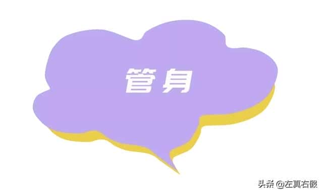 CT的中文是什么(ct是什么牌子)