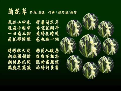 胡适写的诗歌（新文化运动领袖胡适作品有哪些）