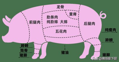 ​猪前排肉和后排的区别（猪前排好还是后排好吃）