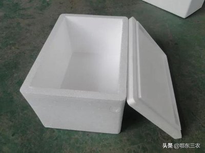 ​怎样用泡沫箱孵小鸡（怎么孵小鸡最简单的方法）