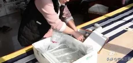 怎样用泡沫箱孵小鸡（怎么孵小鸡最简单的方法）