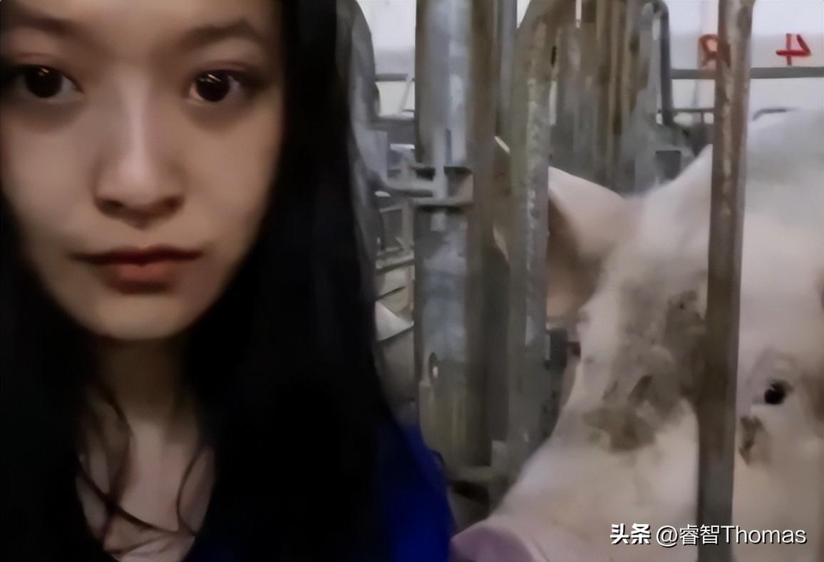 24岁高颜值女孩回应大学毕业养猪(和大学所学专业相关)
