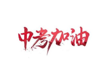 ​中考激励语霸气八个字（初三中考激励语录）