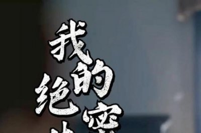 ​绝密卧底连续剧全集