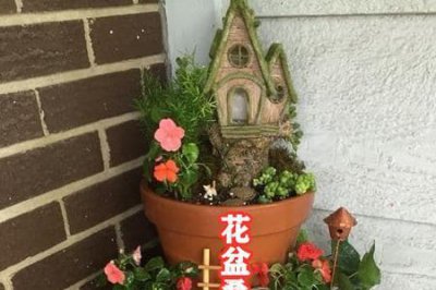 ​空心砖种多肉墙砌法