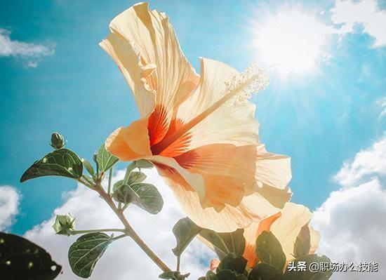 相机开不开hdr有什么区别(hdr是什么拍照功能开还是不开)