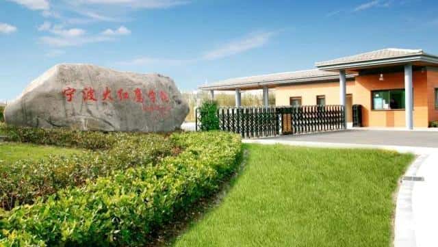宁波财经学院属于几本(宁波财经学院是几本)
