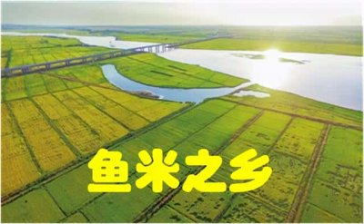​中国最出名的鱼米之乡是哪里（鱼米之乡是哪个省）