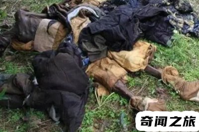 ​1995年成都僵尸事件 详细介绍：一家人都发病并且看见人就咬