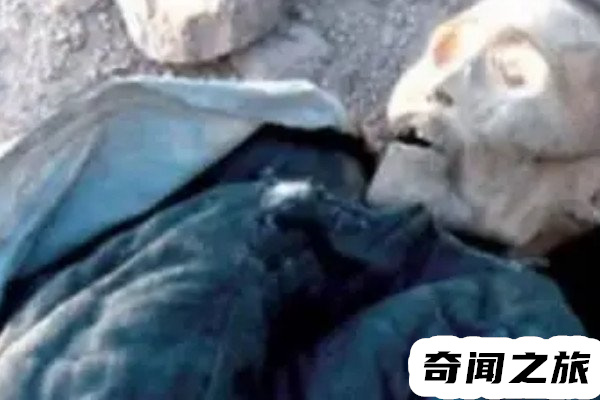 1995年成都僵尸事件,一家人都发病并且看见人就咬