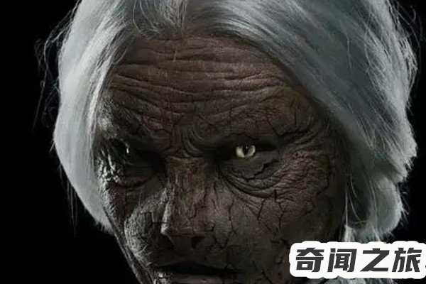 揭秘猫脸老太太事件真相,吃小孩的猫脸老太太