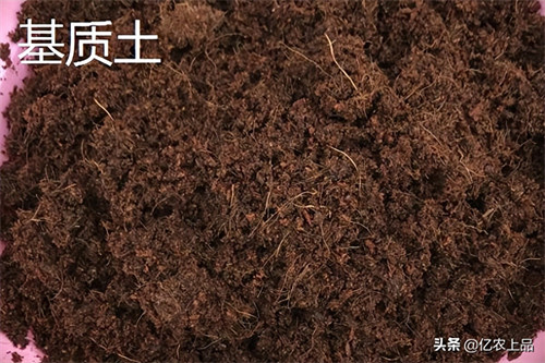 基质土的配制方法(基质生产简单方法)