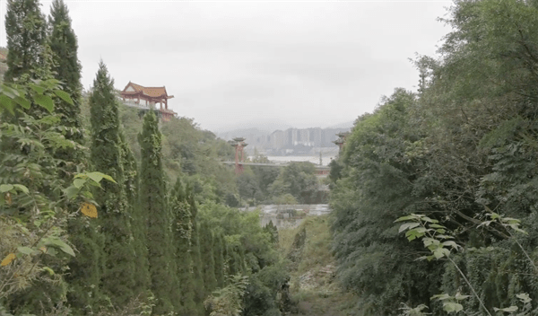 鬼国神宫为何关闭(鬼国神宫关闭的原因)