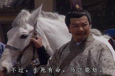 ​的卢马的主人是谁？其实不止是刘备的马？