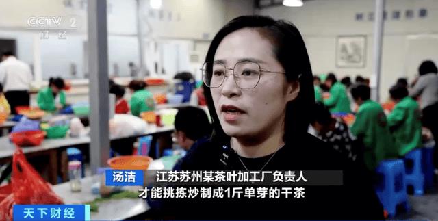 碧螺春是哪个地方产的(碧螺春是哪里产的)