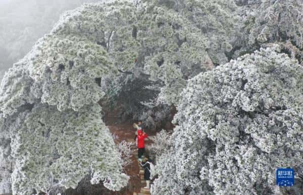 南岳衡山下雪了没（南岳衡山在哪里）