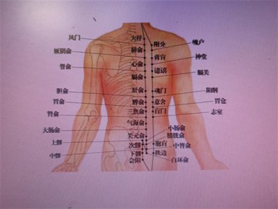 ​背俞穴