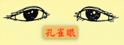 ​孔雀眼眼型是怎样的