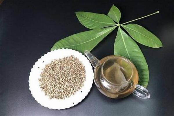 桑葚火麻茶怎么泡 桑葚火麻茶能长期喝吗 桑葚火麻茶怎么泡 桑葚火麻茶能长期喝吗
