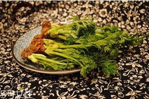 刺老芽怎么种植 刺老芽什么时候种植 刺老芽怎么种植 刺老芽什么时候种植
